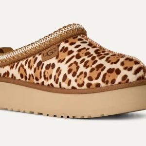 טאז מנומר UGG